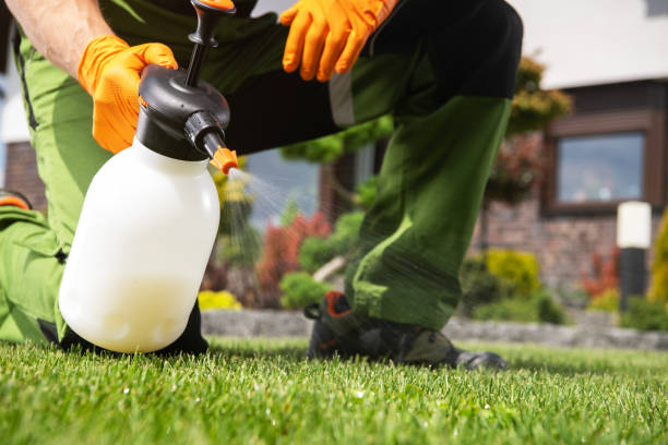 Best Best Pest Control Companies  in Dorothy, NJ