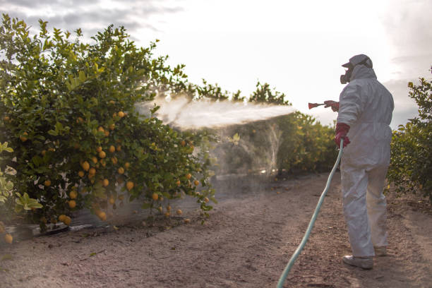 Best Pest Control for Businesses  in Dorothy, NJ
