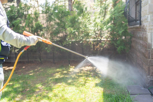 Bird Control in Dorothy, NJ