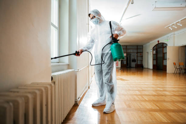 Best Cockroach Control Services  in Dorothy, NJ