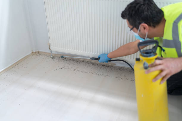 Best Ant Control Services  in Dorothy, NJ