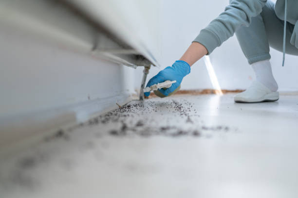 Best Pest Prevention Services  in Dorothy, NJ