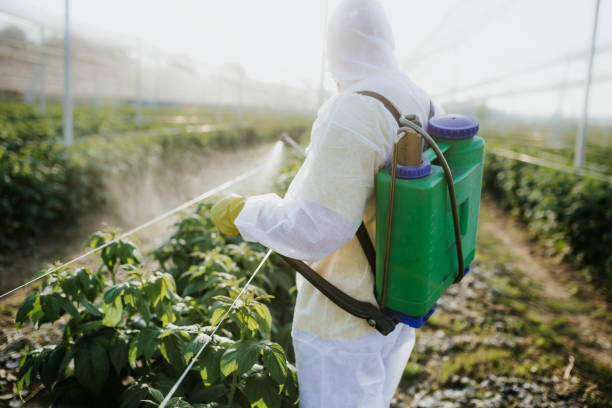 Trusted Dorothy, NJ Pest Control Experts